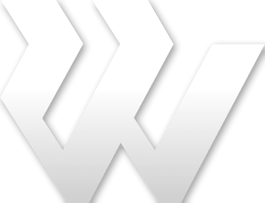 WhipUnity